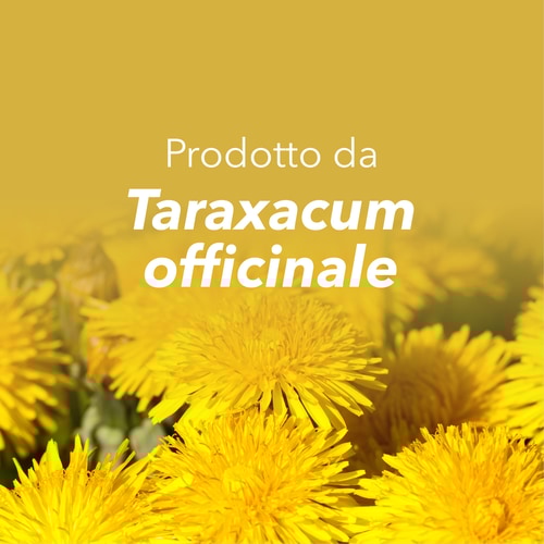 Radice di Dente di Leone 1500 mg 90 capsule (8)