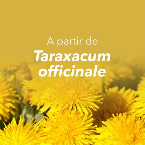 Raíz de Diente de León 1500 mg 90 cápsulas (8)