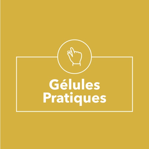 Racine de Pissenlit 1500 mg 90 gélules (9)