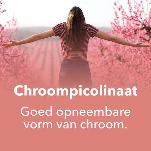 Chroompicolinaat 120 capsules (7)