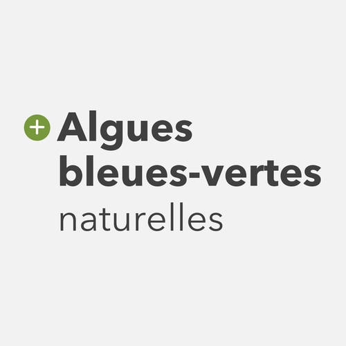 Spirulina 3000 mg 360 tabs (4)