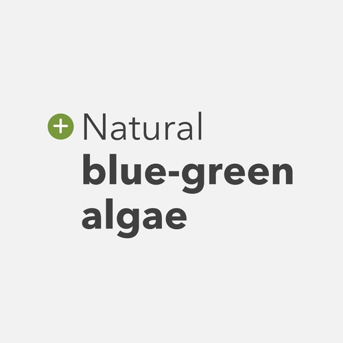 Spirulina 3000 mg 360 tabs (4)