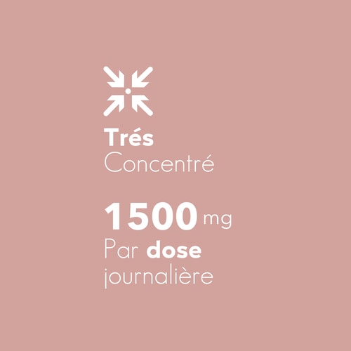 Bromélaïne 1 500 mg 60 gélules (6)