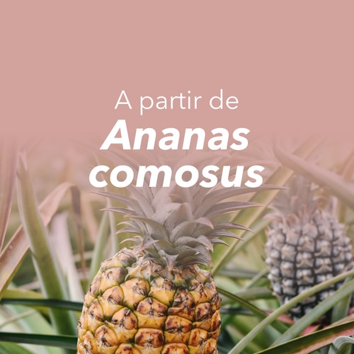 Bromelaína 1500 mg 60 cápsulas (8)