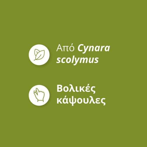 Εκχύλισμα αγκινάρας 1350 mg 90 κάψουλες (4)