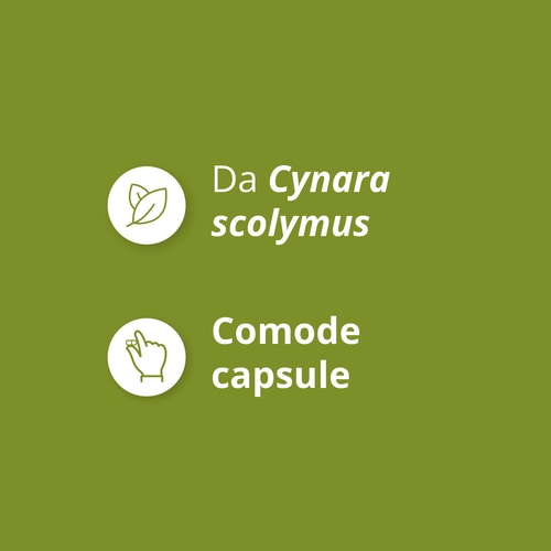 Estratto di carciofo 1350 mg 90 capsule (4)