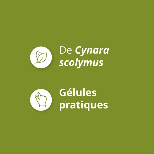 Extrait d'Artichaut 1350 mg 90 gélules (4)