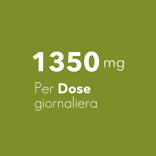 Estratto di carciofo 1350 mg 90 capsule (6)