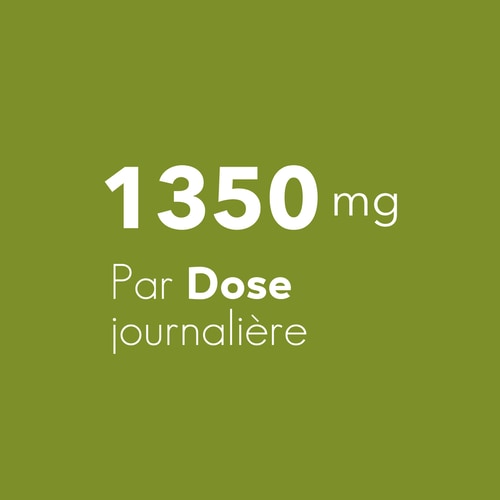 Extrait d'Artichaut 1350 mg 90 gélules (6)