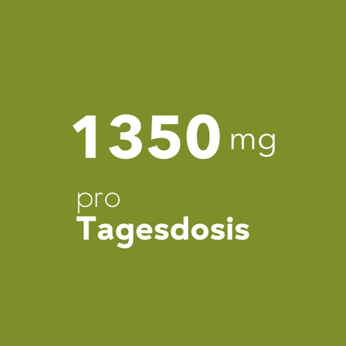 Artischockenextrakt 1350 mg 90 Kapseln (6)