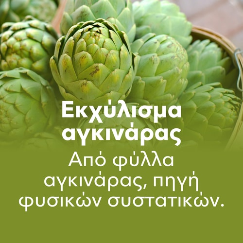 Εκχύλισμα αγκινάρας 1350 mg 90 κάψουλες (7)