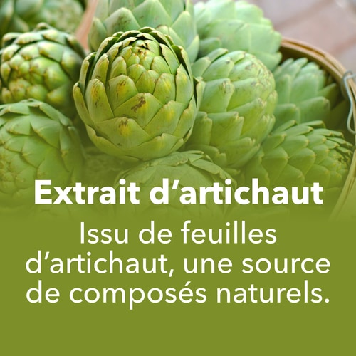 Extrait d'Artichaut 1350 mg 90 gélules (7)