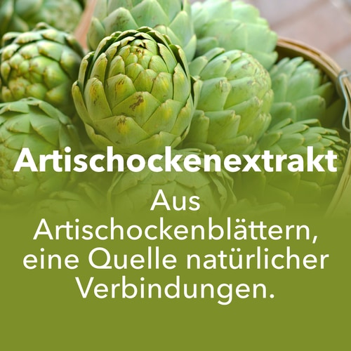Artischockenextrakt 1350 mg 90 Kapseln (7)