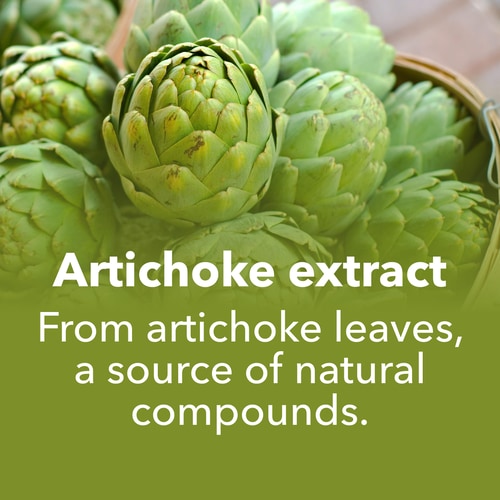 Artichoke Extract 1350 mg 90 caps (7)