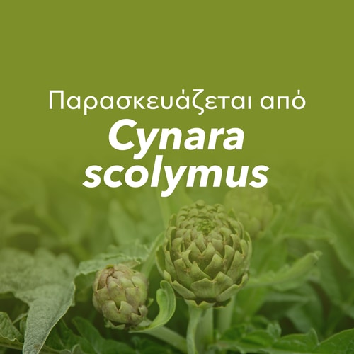 Εκχύλισμα αγκινάρας 1350 mg 90 κάψουλες (8)