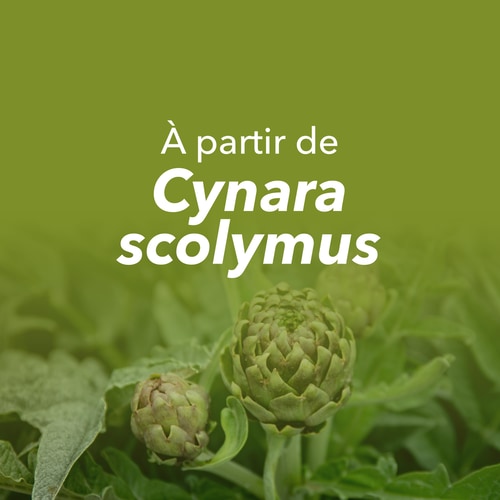 Extrait d'Artichaut 1350 mg 90 gélules (8)