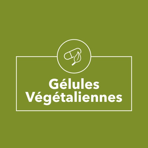 Extrait d'Artichaut 1350 mg 90 gélules (9)