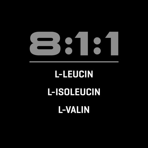 BCAA 8:1:1 300 g (4)