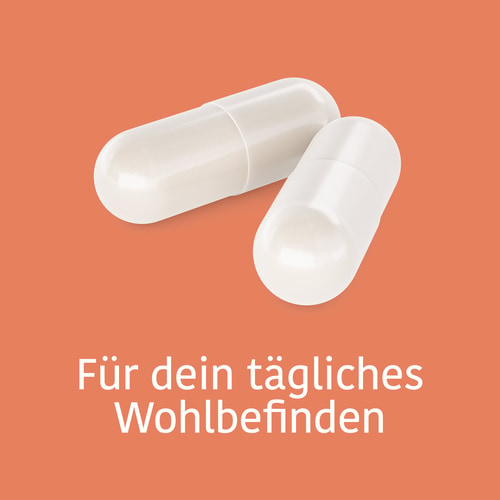 Ferrochel® - Eisen 20 mg 60 Kapseln (2)
