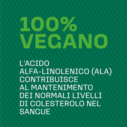 Vegan Omega 3 - Flaxseed Oil 90 veg softgels (4)