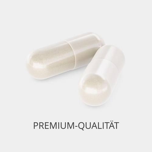 Gotu Kola (Centella asiatica) 900 mg 90 caps (2)