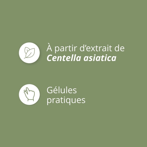 Gotu Kola (Centella asiatica) 900 mg 90 caps (4)