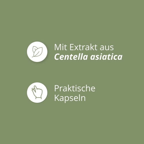 Gotu Kola (Centella asiatica) 900 mg 90 caps (4)