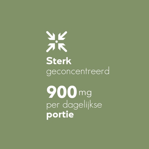 Gotu Kola (Centella asiatica) 900 mg 90 caps (6)