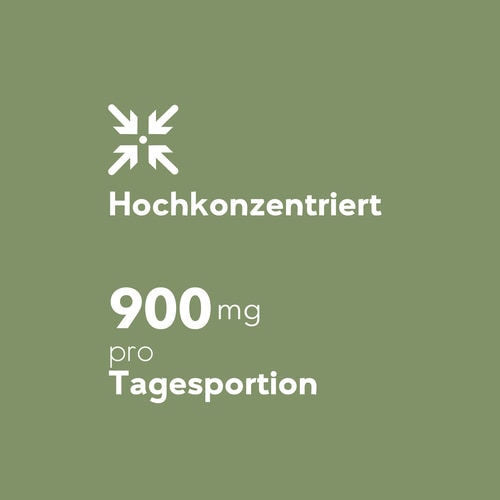 Gotu Kola (Centella asiatica) 900 mg 90 caps (6)