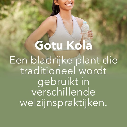 Gotu Kola (Centella asiatica) 900 mg 90 caps (7)