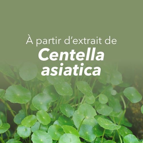 Gotu Kola (Centella asiatica) 900 mg 90 caps (8)