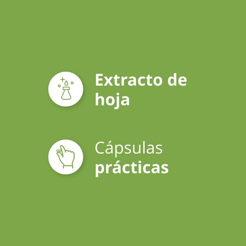 Moringa Oleifera 90 caps (4)