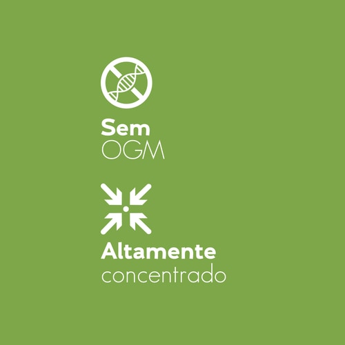 Moringa Oleifera 180 caps (6)