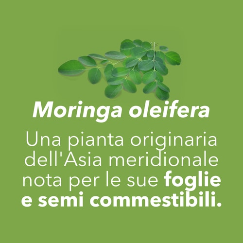 Moringa Oleifera 90 caps (7)