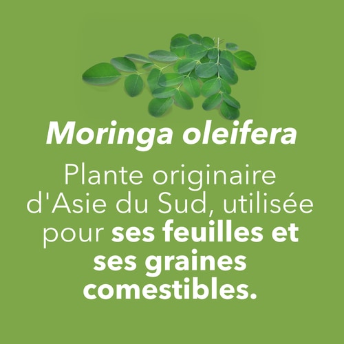 Moringa Oleifera 90 caps (7)