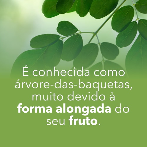 Moringa Oleifera 180 caps (8)