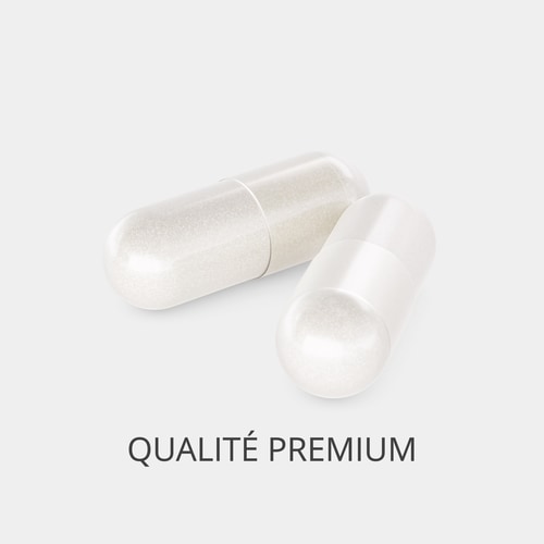 Glucomannane 3 000 mg 120 gélules (2)