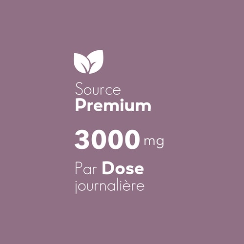 Glucomannane 3 000 mg 120 gélules (6)