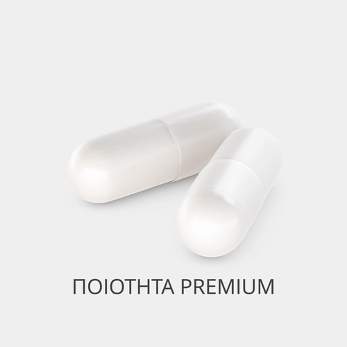 Ginkgo Biloba 90 caps (2)