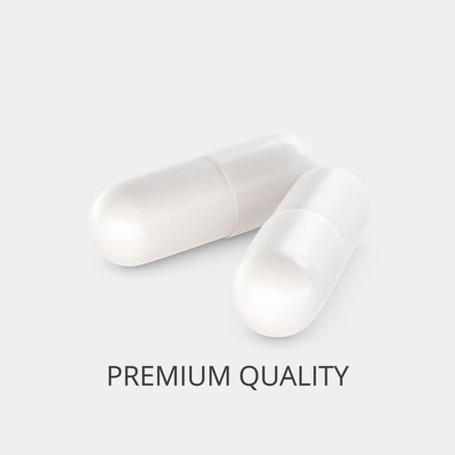 Ginkgo Biloba 90 caps (2)