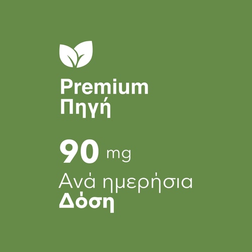Ginkgo Biloba 90 caps (6)