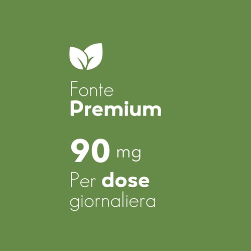 Ginkgo Biloba 90 caps (6)