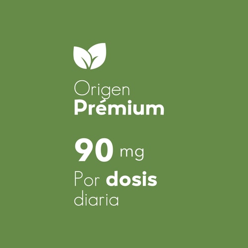 Ginkgo Biloba 90 caps (6)