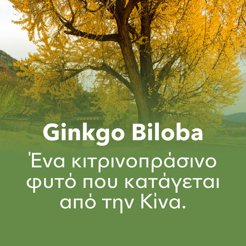 Ginkgo Biloba 90 caps (7)