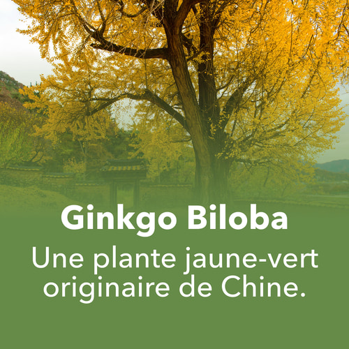 Ginkgo Biloba 90 caps (7)