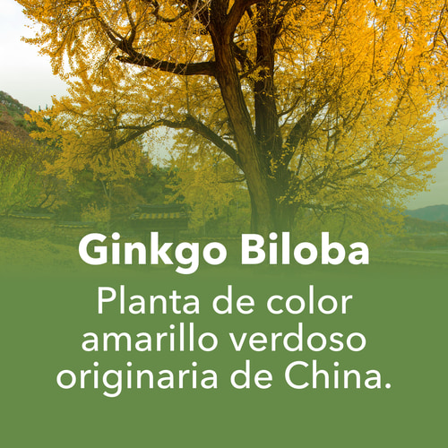 Ginkgo Biloba 90 caps (7)