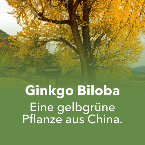 Ginkgo Biloba 90 caps (7)