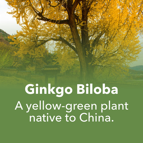 Ginkgo Biloba 90 caps (7)