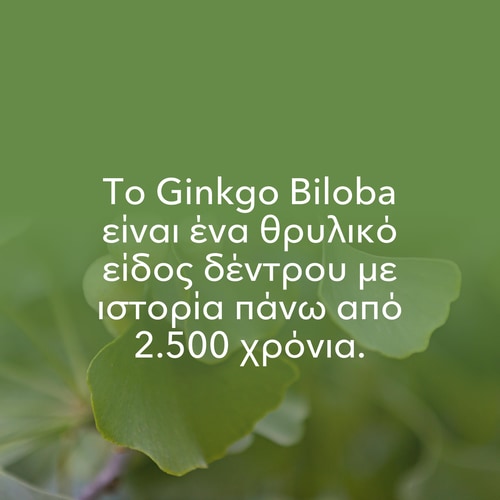 Ginkgo Biloba 90 caps (8)