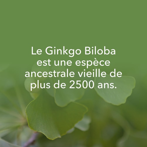 Ginkgo Biloba 90 caps (8)